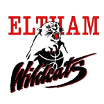 基尔塞斯眼镜蛇